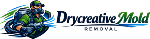 Drycreative Mold Removal photo